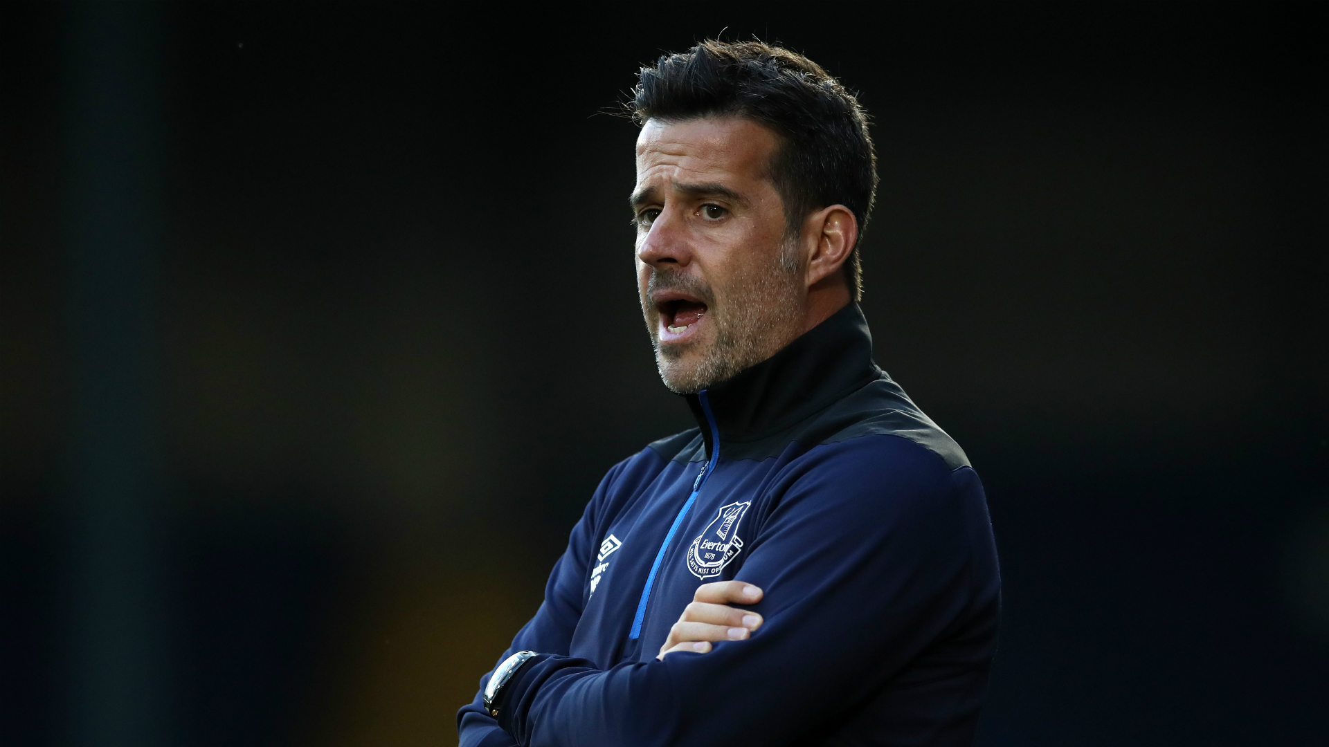 拉維亞的成 拉維亞的成